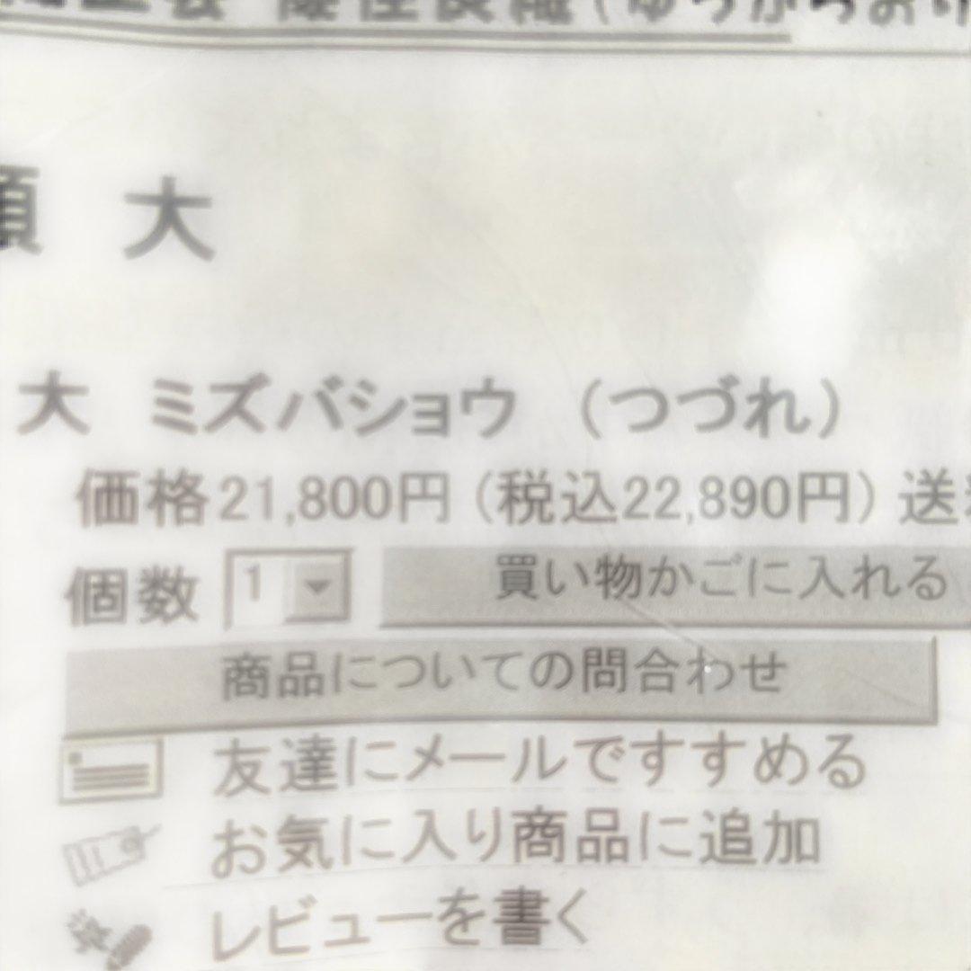 「優佳良織」ミズバショウ（つづれ）北海道　手芸工芸品　風景刺繍小型黒フレーム絵画