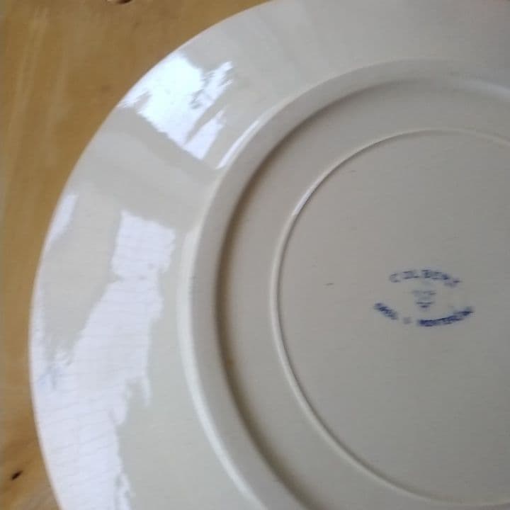 フランスアンティーク　クレイユモントローColbertディナー皿