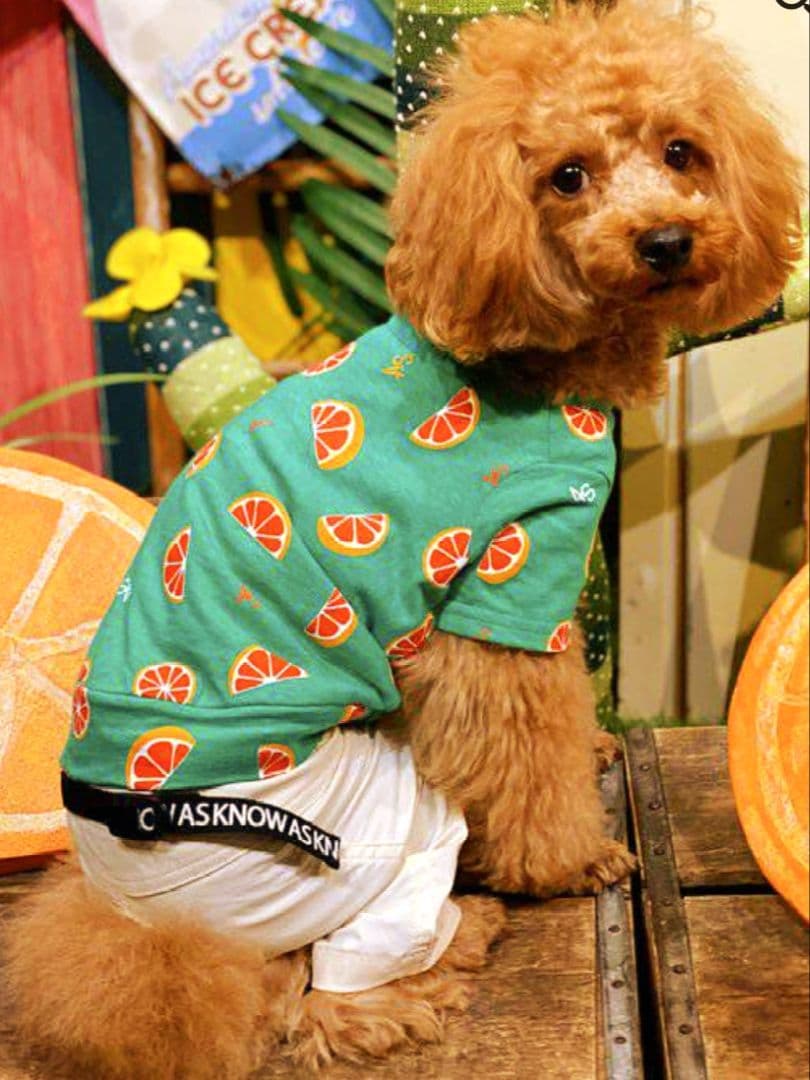 直営店限定2枚セット NC☆フレッシュORTasknowasdewan