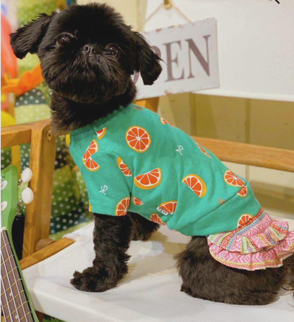 直営店限定2枚セット NC☆フレッシュORTasknowasdewan