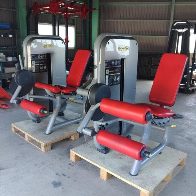 TECHNOGYM レッグエクステンション・カール2台セット（引取り限定）