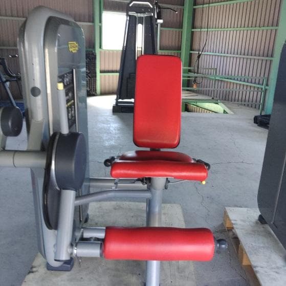 TECHNOGYM レッグエクステンション・カール2台セット（引取り限定）