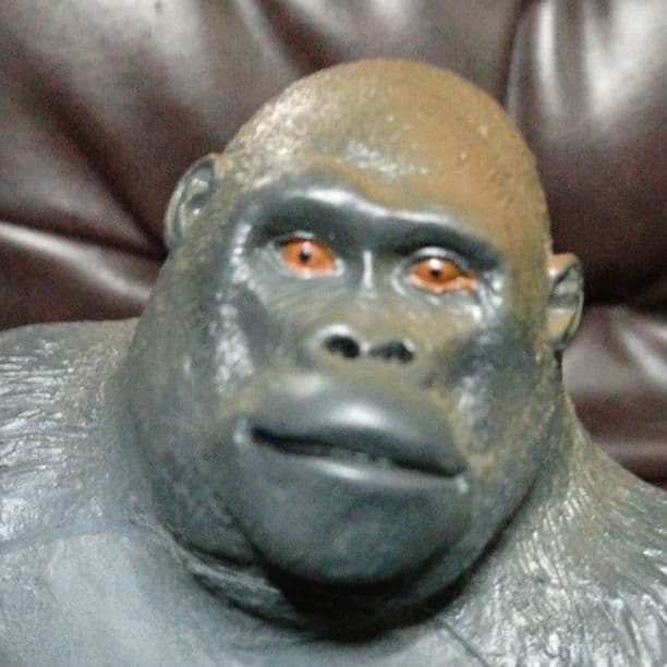 マウンテンゴリラシルバーバック