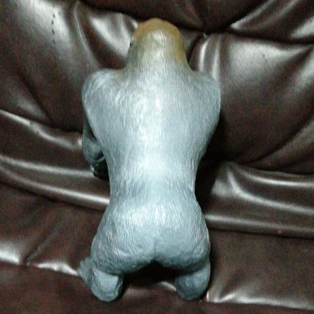 マウンテンゴリラシルバーバック