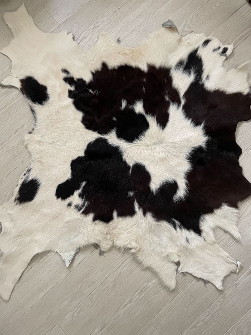 牛　カウ　ラグ