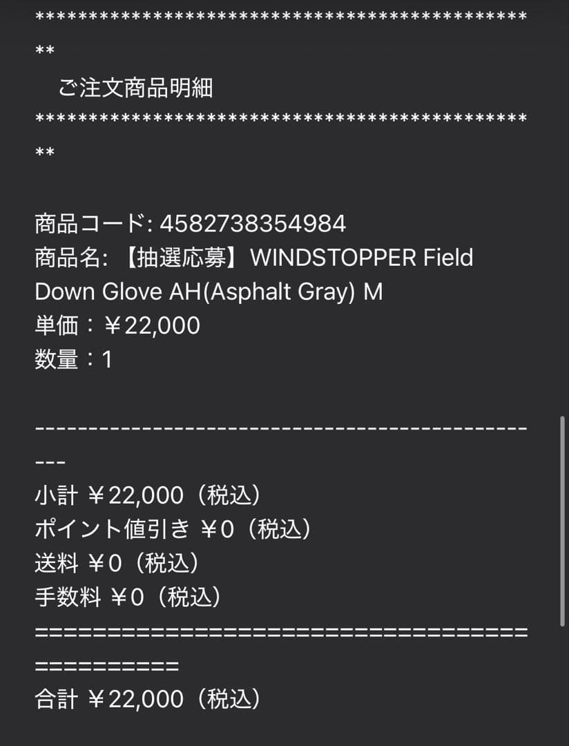 【新品未使用】PALACE×THE NORTH FACE GLOVE グレー　M