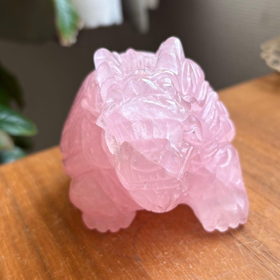 高品質 マダガスカル産 龍亀（ロングイ）置物490g