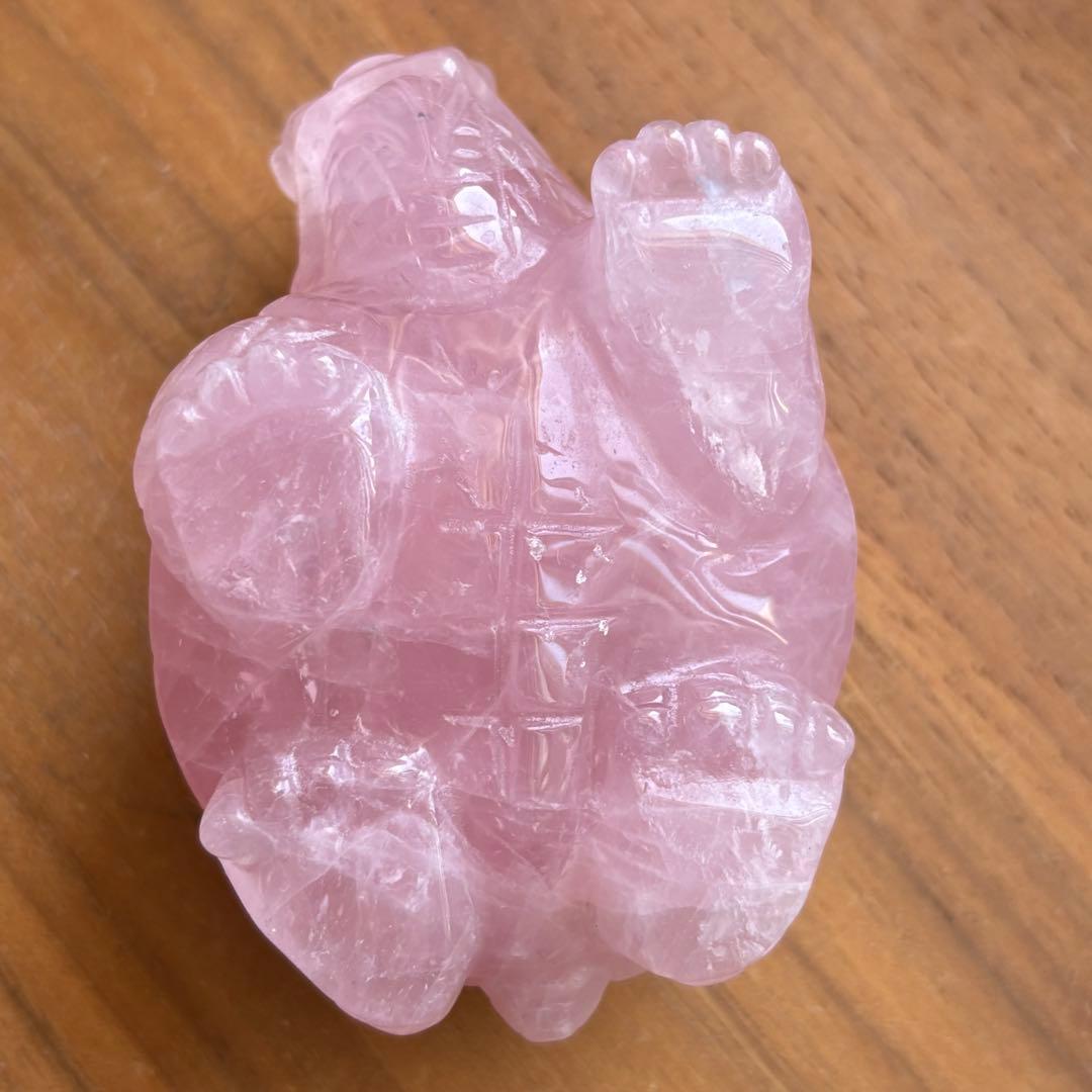 高品質 マダガスカル産 龍亀（ロングイ）置物490g