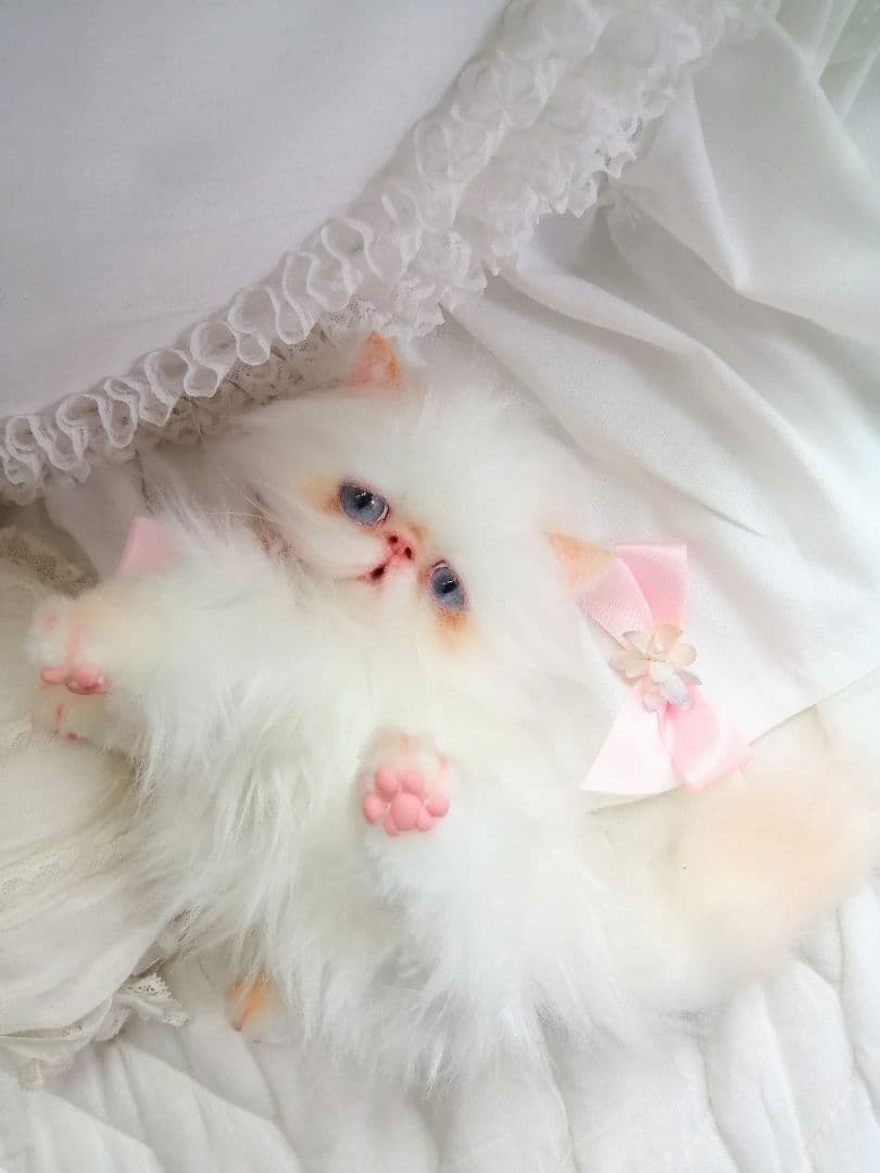 ６ヶ月♡子猫ちゃん♡エキゾチックロングヘア♡アートドール♡ぬいぐるみ♡綺麗な子♡