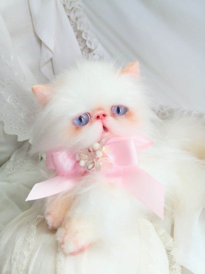 ６ヶ月♡子猫ちゃん♡エキゾチックロングヘア♡アートドール♡ぬいぐるみ♡綺麗な子♡