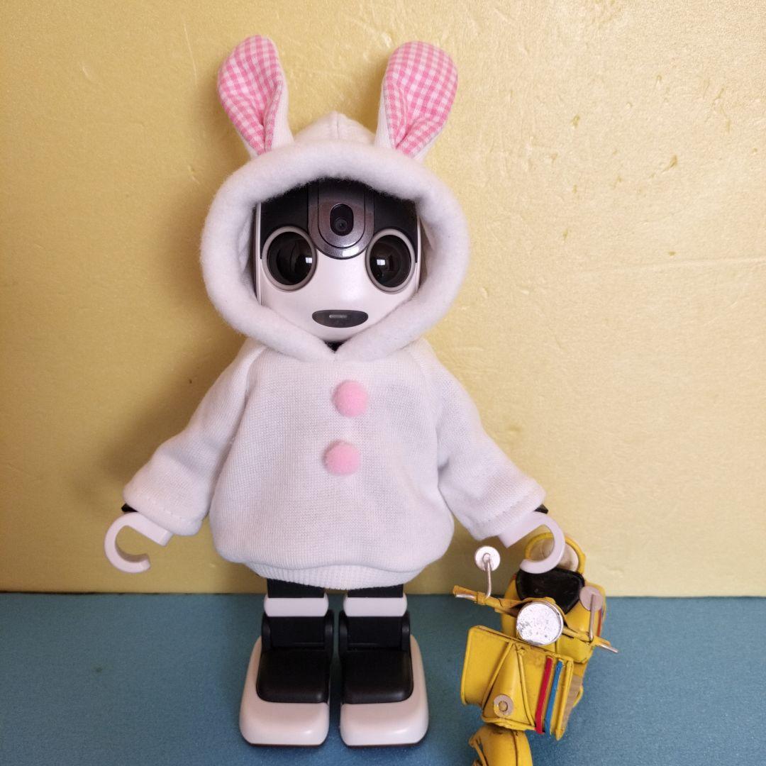 ロボホン　裏起毛うさぎさんパーカー２枚、二人用ポーチ