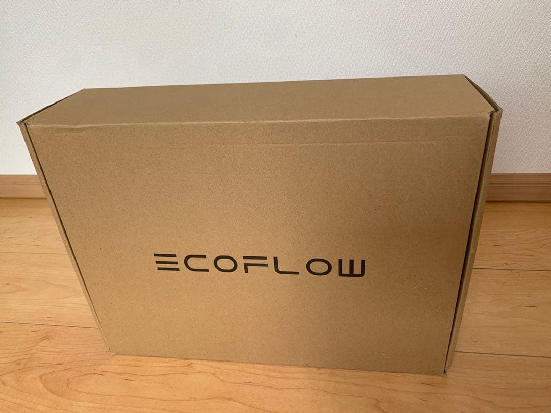 EcoFlow DELTA 3 本体 ＋ 専用収納バッグセット