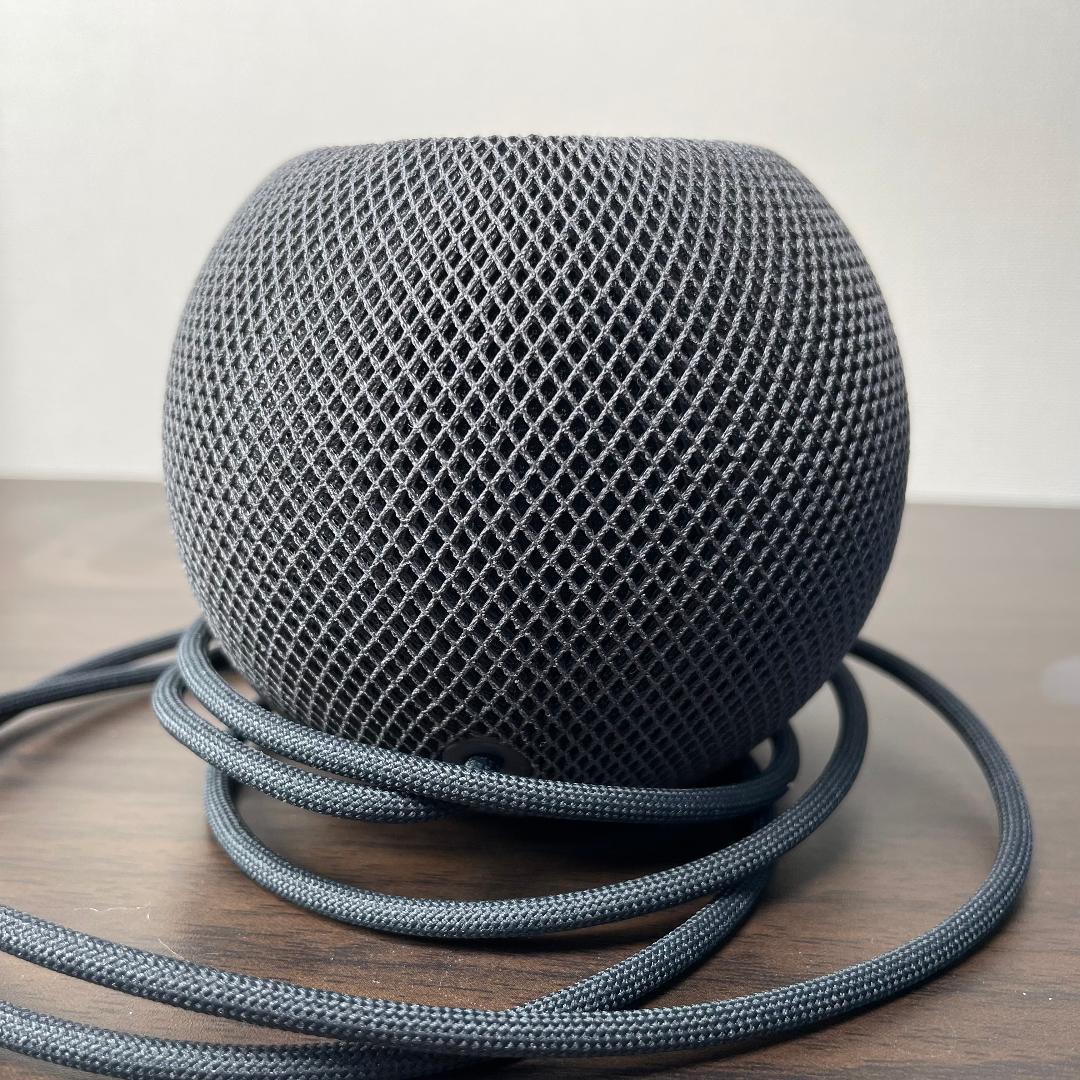 Apple Pod mini ブラック A2374 MY5G2J/A