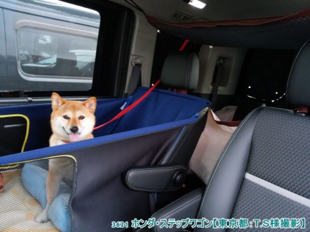 アイズ ステップワゴンRP3-5 ウィンドーバグネット 防虫網戸 リア2枚セット