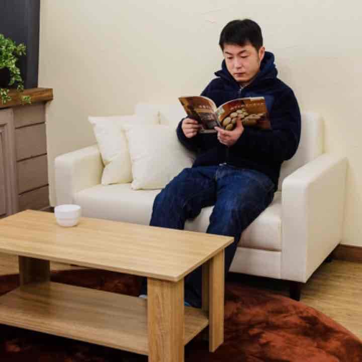 NEW　MERCURYソファ　PVC　BE/BK/BR/IV/RD