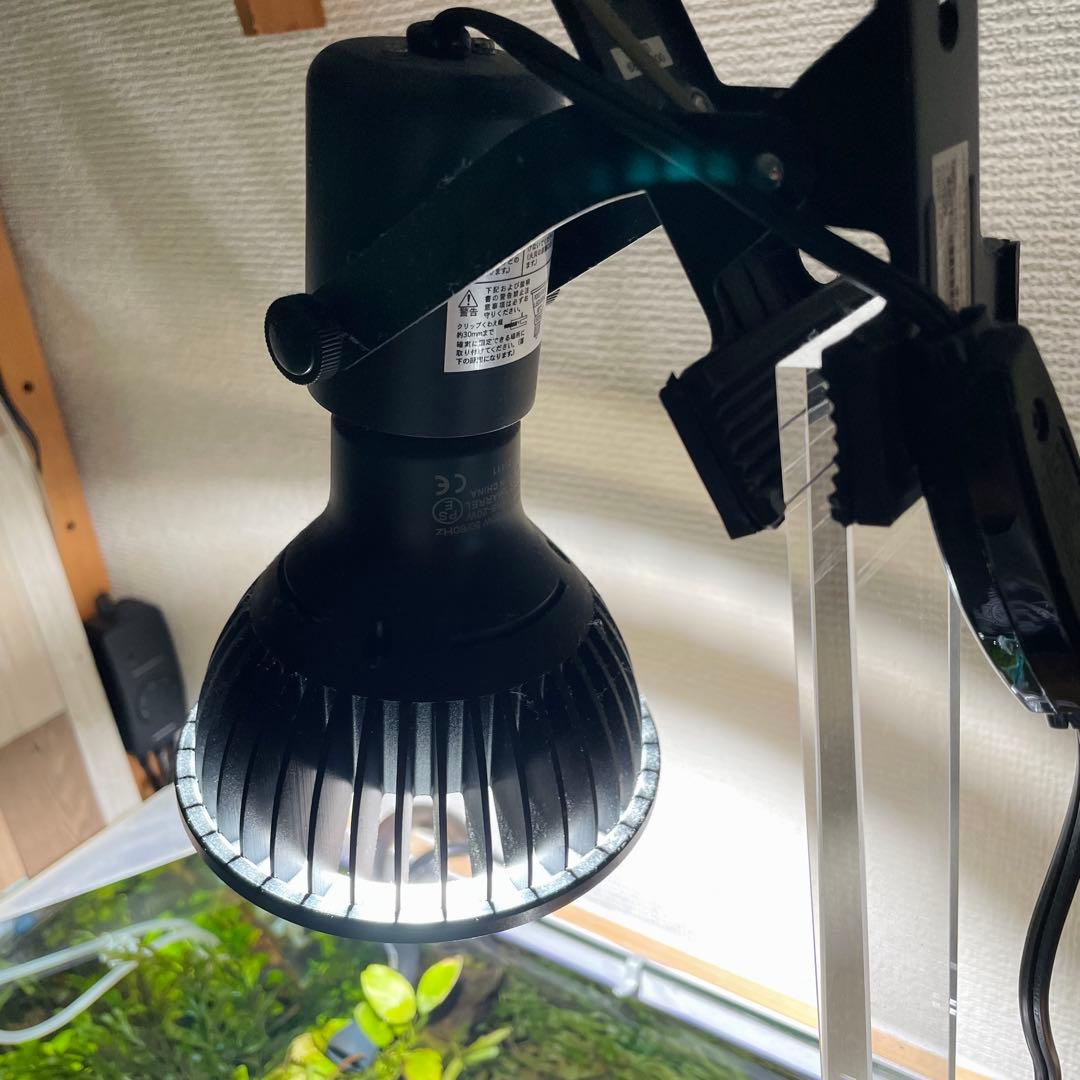 引き取り限定 ADA45㎝ 陰性水草水槽フルセット