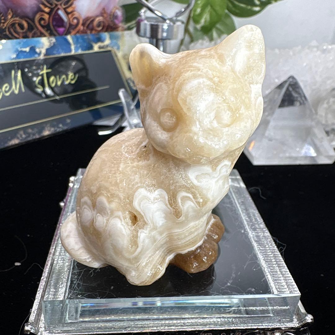 はち。様 アンバーフラワーカルサイト猫ちゃん♡No.1480