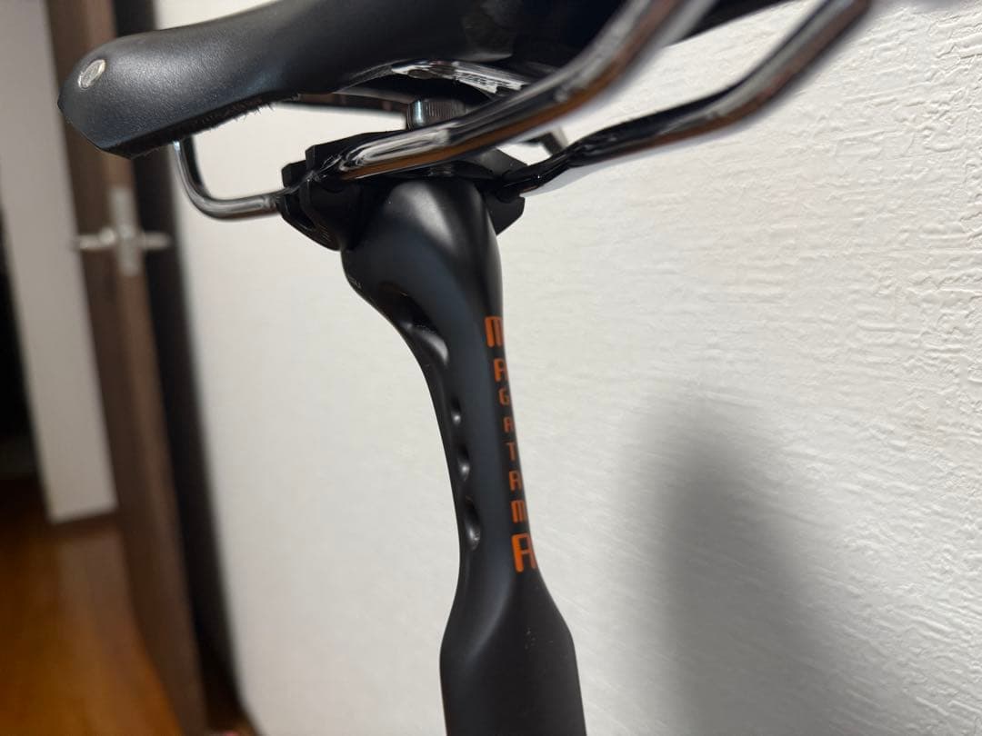 【ゆうき】2023 tern surge pro 限定カラー