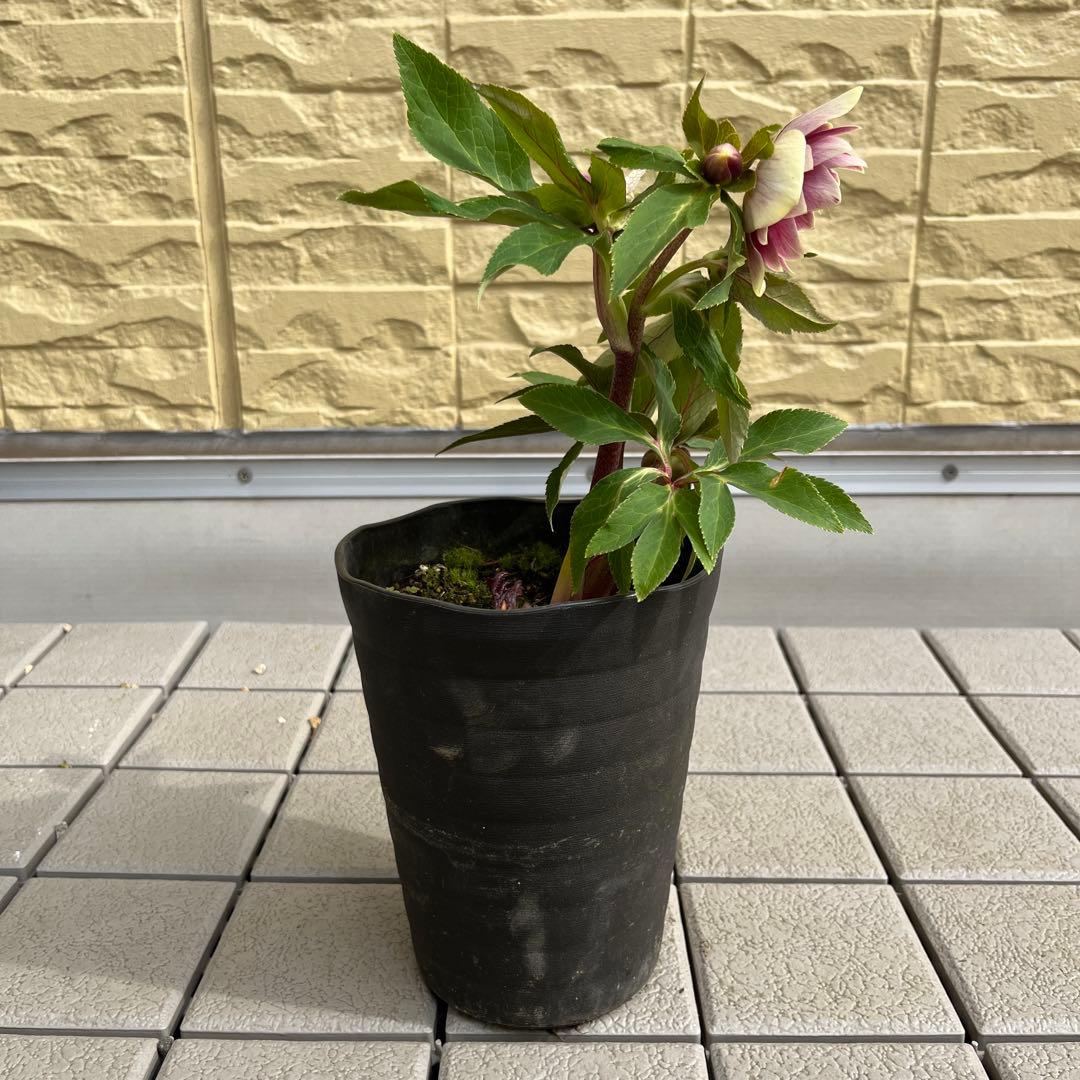 mamoさま　ご予約品　2点