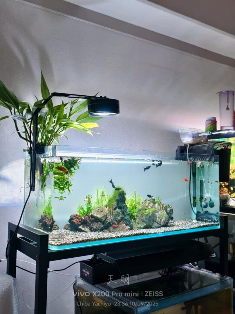 A60 水槽ライト 高輝度LED 水草育成・魚の発色向上・フルスペクトル照明