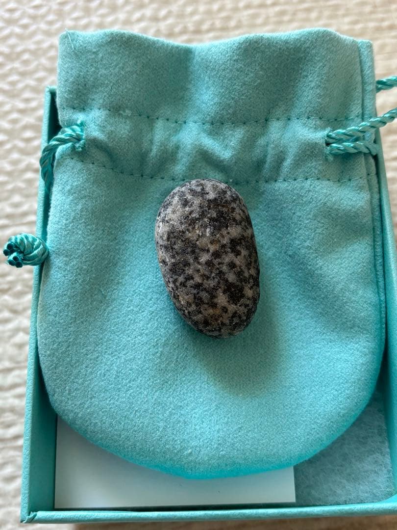 息子が見つけた恐竜の卵化石（花崗岩）