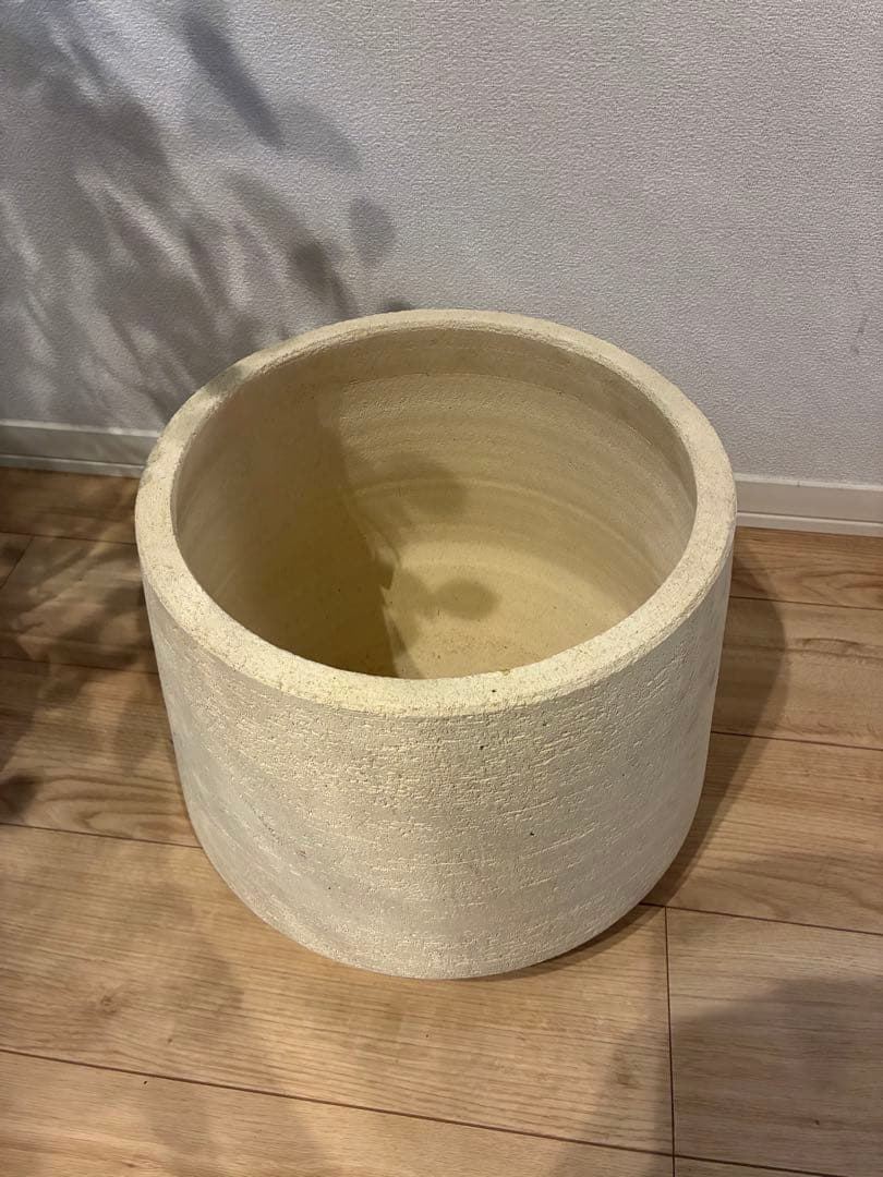 【直接取引のみ】【極上】フィカス 盆栽仕立て　根上がり　9号　鉢カバーセット