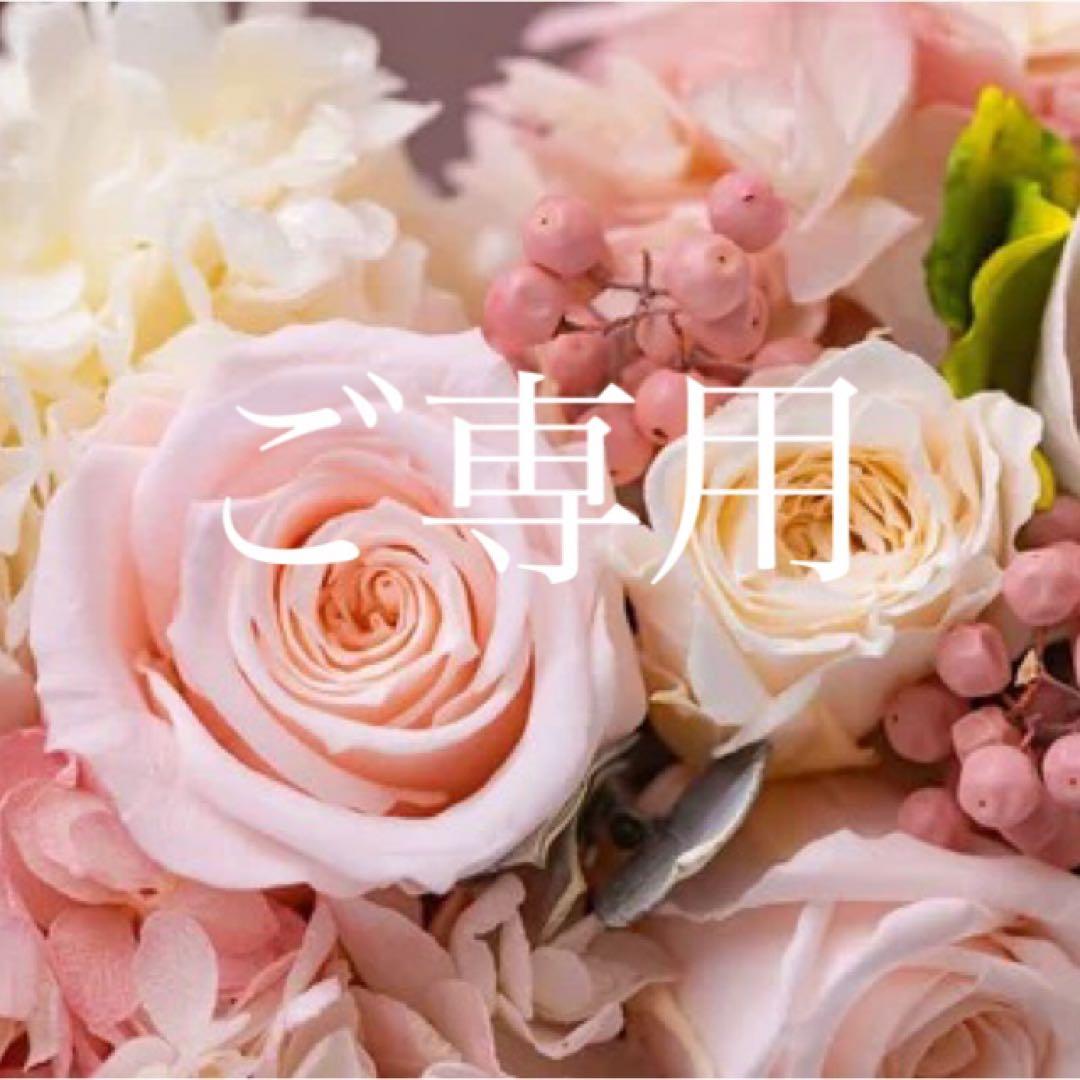 【324】美品　アナイ　フラワードローイングプリントスタンド　ブラウス　B