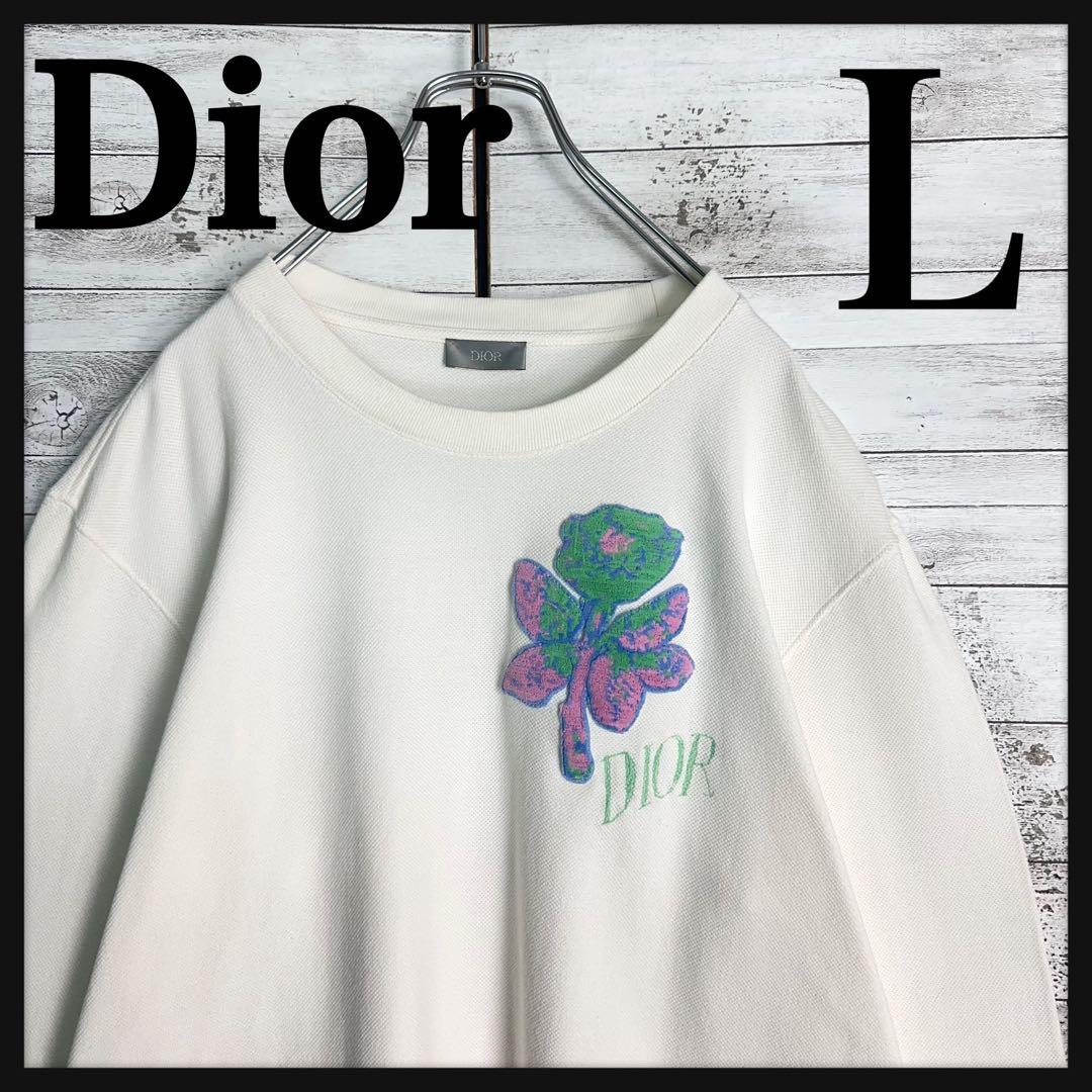 11928【美品・Lサイズ】Dior パイルロゴ　刺繍　ロングtシャツ白　コラボ