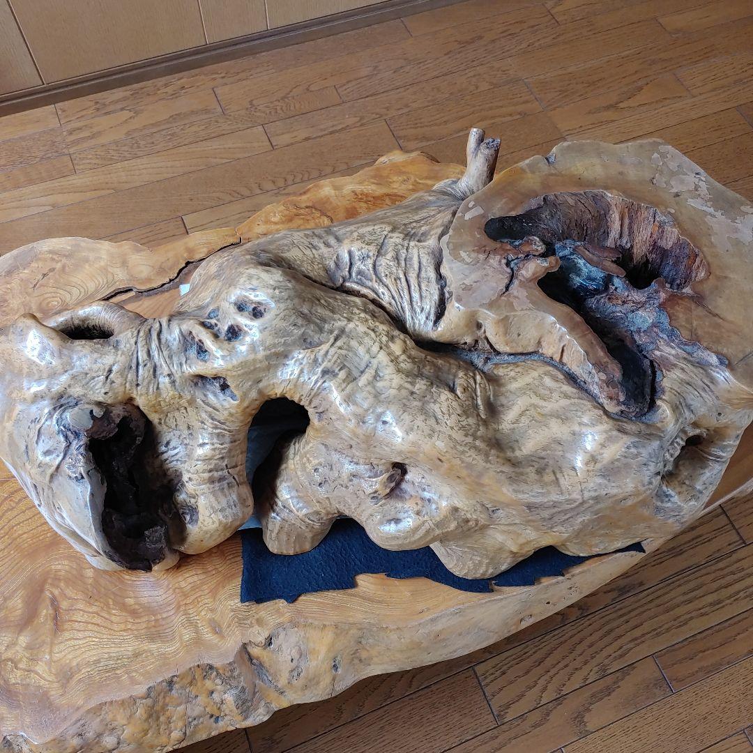 年代物の観賞木