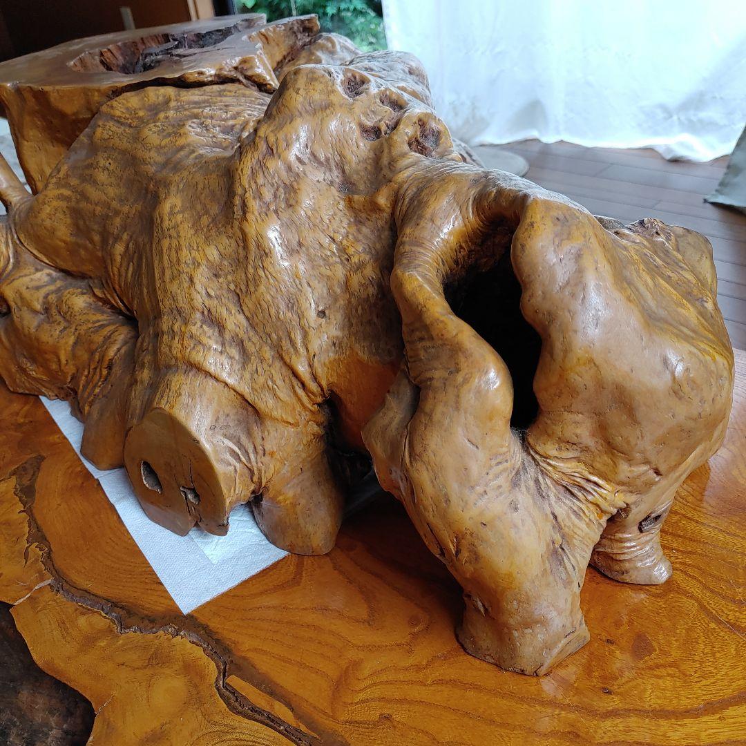 年代物の観賞木