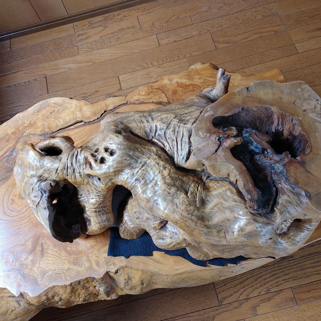 年代物の観賞木