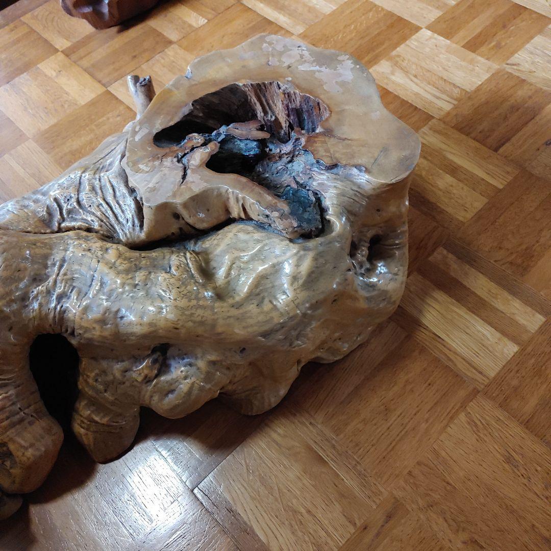 年代物の観賞木