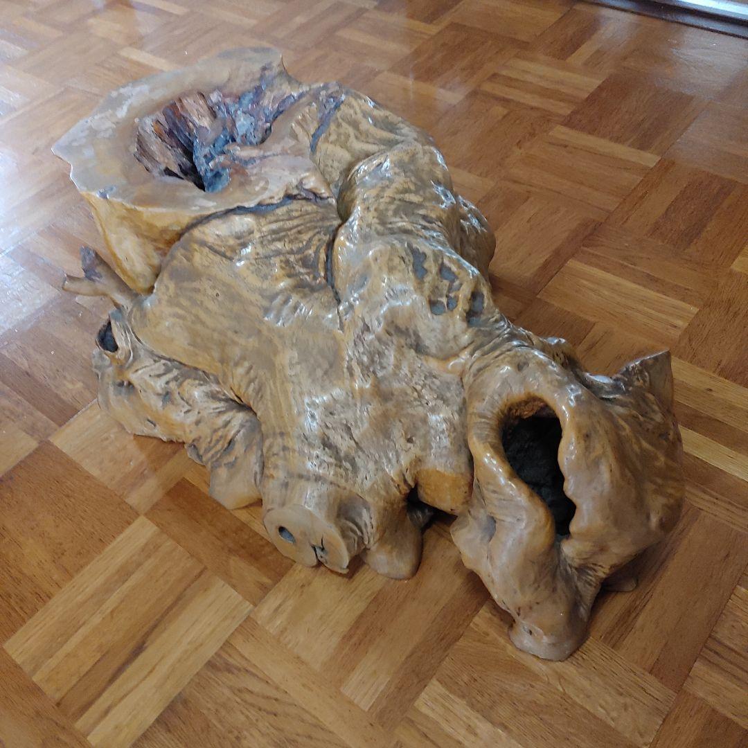 年代物の観賞木