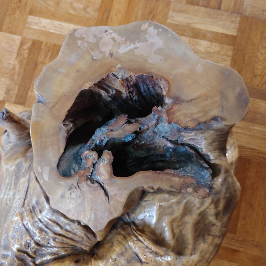 年代物の観賞木