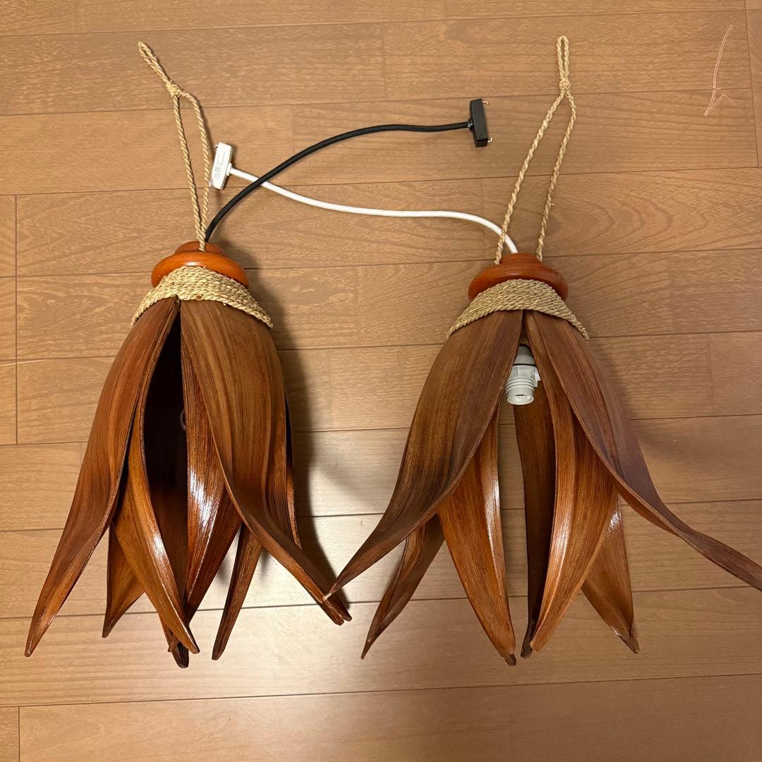 【2個セット】ココナッツリーフライト