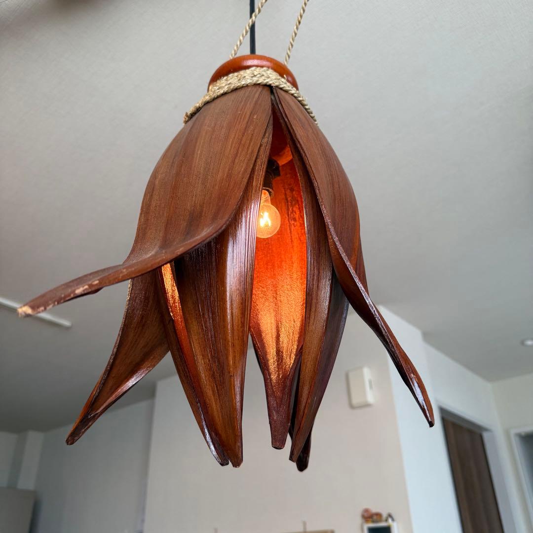 【2個セット】ココナッツリーフライト