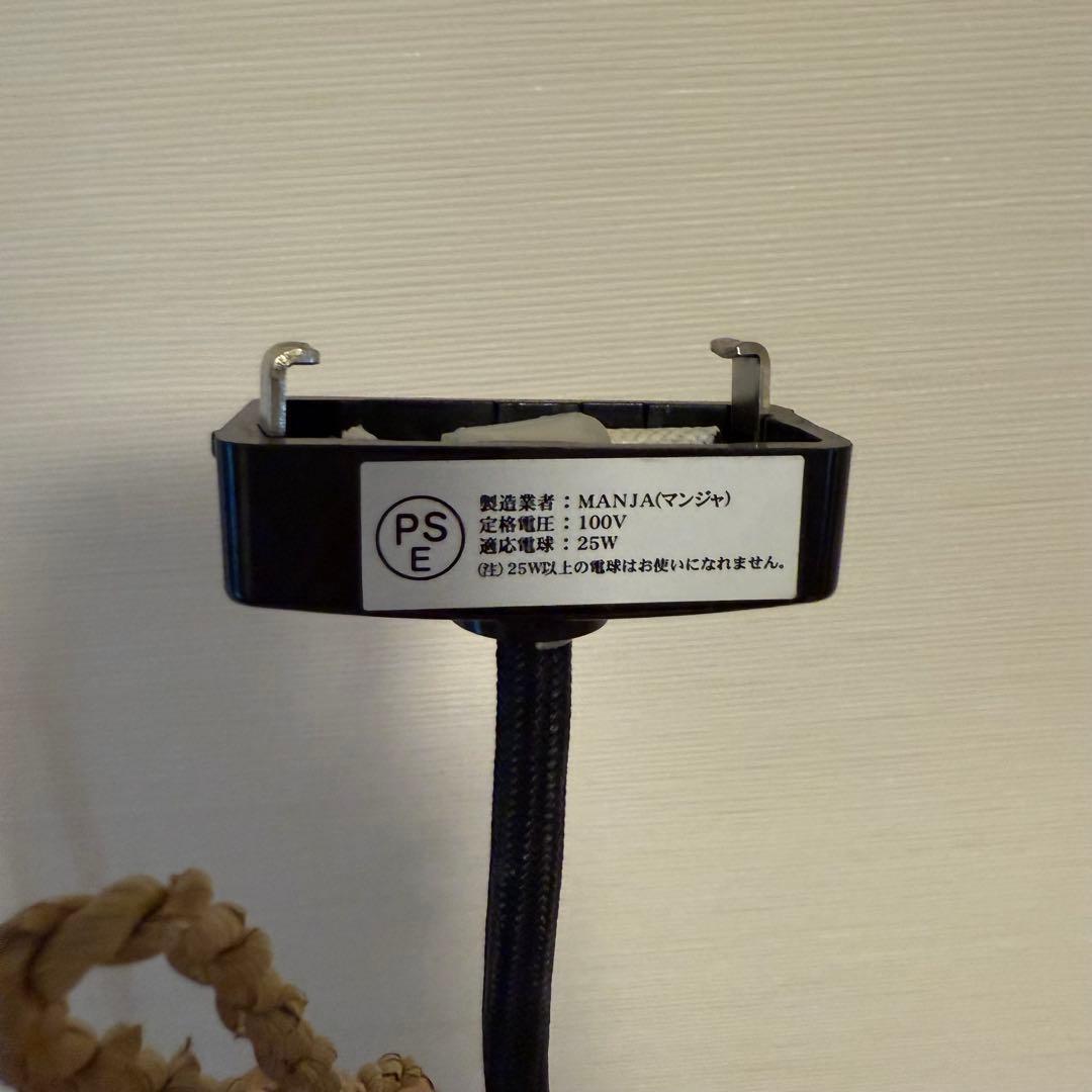 【2個セット】ココナッツリーフライト