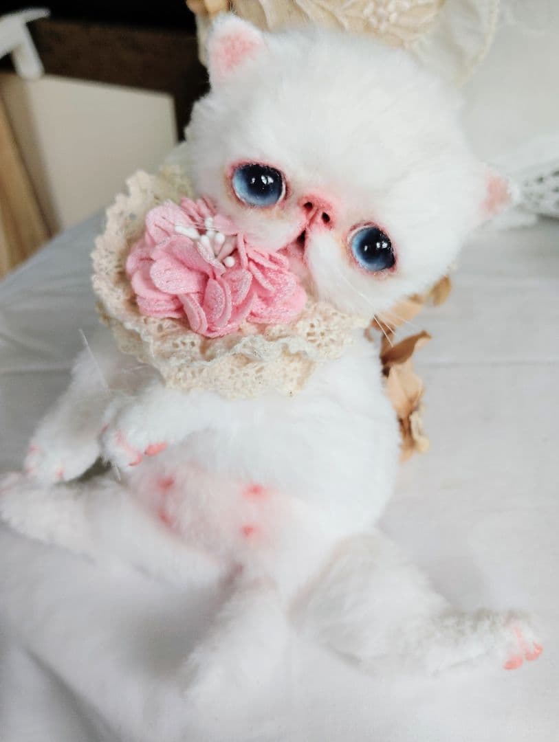 うるるんオメメ♡エキゾチック子猫ちゃん♡アートドール♡ぬいぐるみ♡