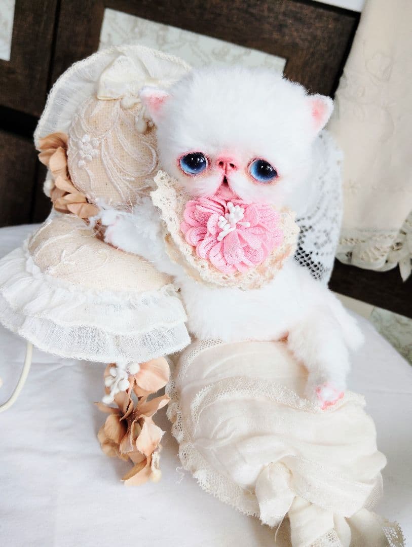 うるるんオメメ♡エキゾチック子猫ちゃん♡アートドール♡ぬいぐるみ♡