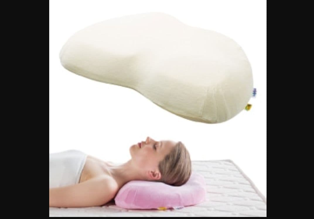 【美品】マニフレックス　バイオシェイプピロー　枕　レディースタイプ