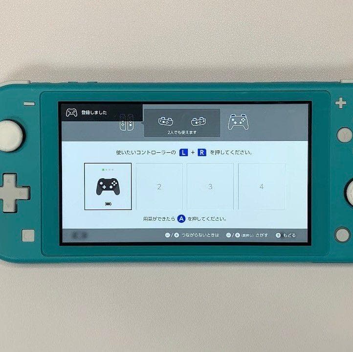Nintendo Switch Lite 本体 動作品 2019