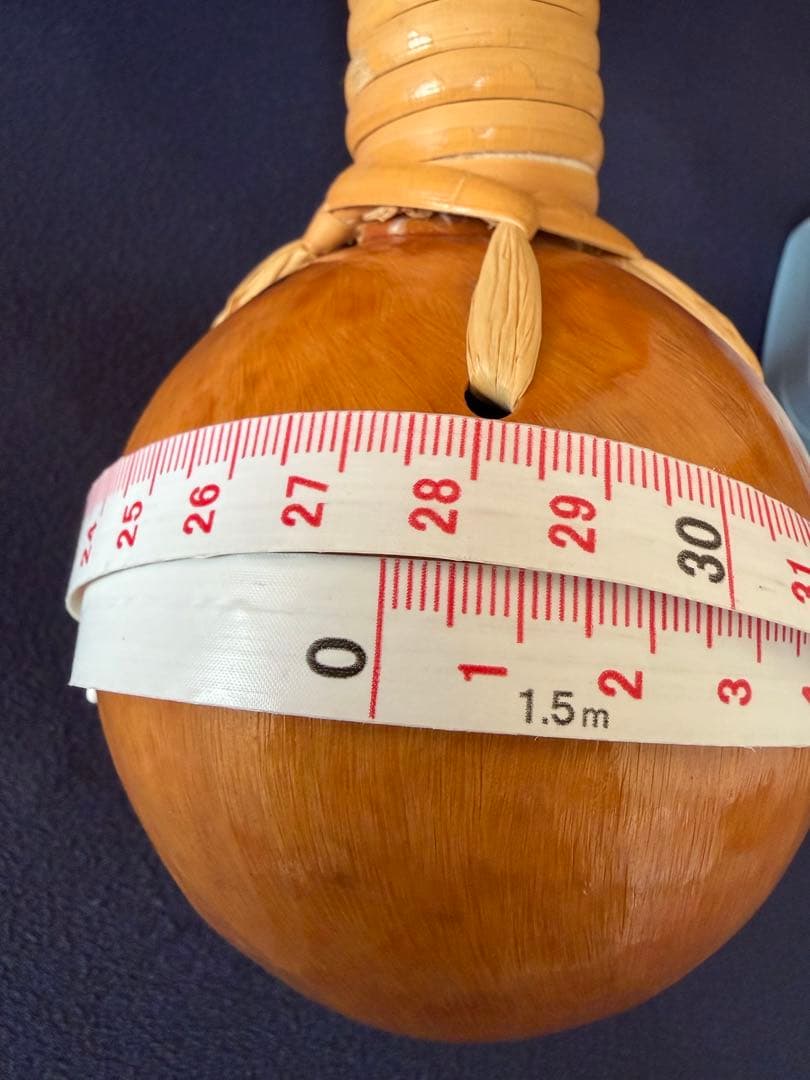 ウリウリ　楽器　フラダンス　一体型