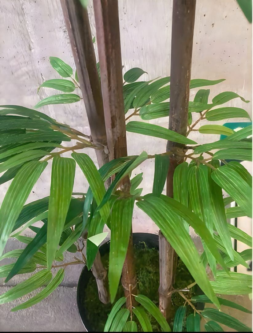 光触媒　人工観葉植物　ウォールグリーン　フェイクグリーン　黒竹105gj