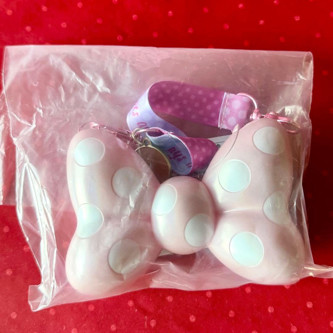 ディズニー　パルパルーザ　ファンダーランド★ポップコーンバケット★スナックケース