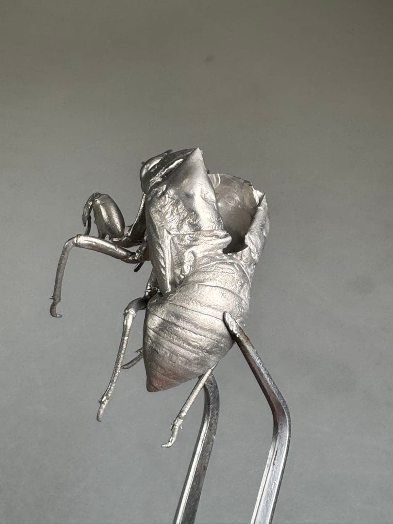 蝉　蝉の抜け殻　セミ　オブジェ　虫好き　金属製　標本