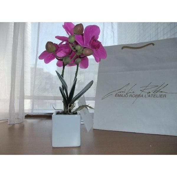 エミリオロバ EMILIO ROBBA　2本立て胡蝶蘭　未試用品