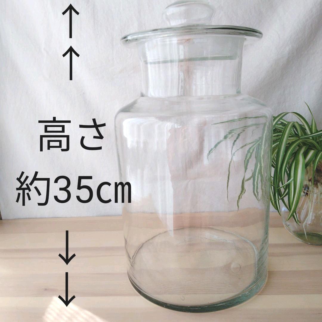 昭和の大きなキャニスター