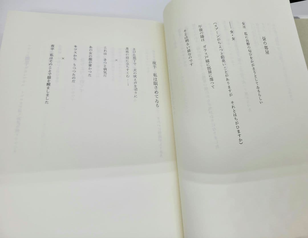 尾形亀之助全集 増補改訂版 思潮社