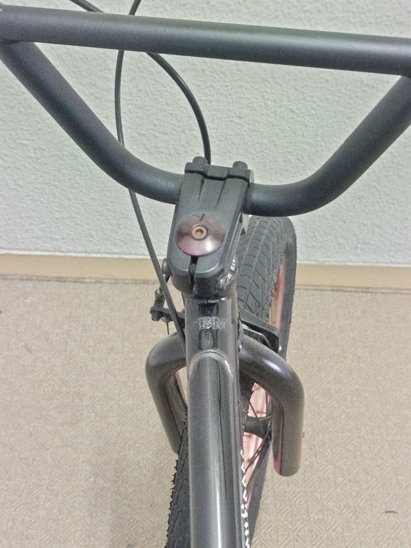 自転車本体 FBM executioner BMX