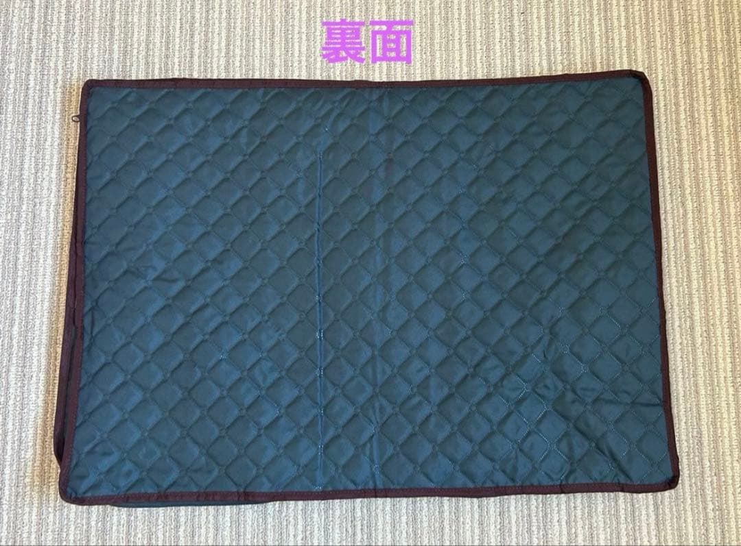 帝人　TEIJIN⭐︎ベルオアシス⭐︎カラッと収納ケースプレミアム⭐︎大3個⭐︎ネイビー